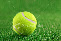 wp715c0a83_0f.jpg